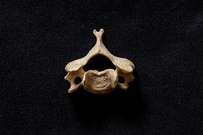 Cervical Screenings